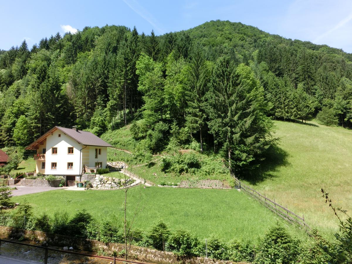 Gaestehaus Forstner Loich Dış mekan fotoğraf